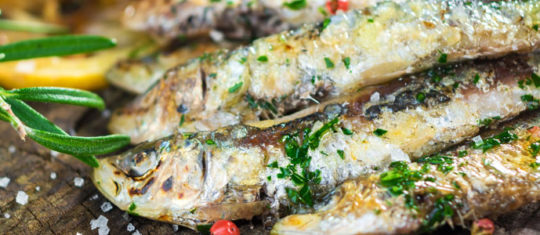 restaurant de poissons et fruits de mer